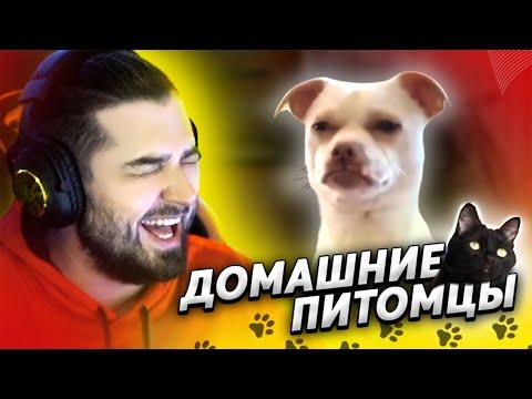 HARD PLAY СМОТРИТ ТЕМНАЯ СТОРОНА 20 МИНУТ СМЕХА ЛУЧШИЕ ПРИКОЛЫ ИЮЛЬ 2020