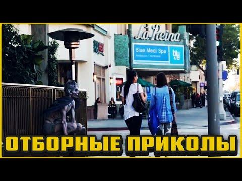 Отборные приколы август 2020 | Лучшие приколы август 2020 #65