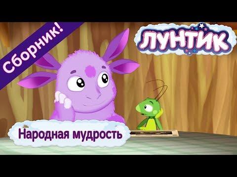 Народная мудрость ☝️ Лунтик ☝️ Сборник мультфильмов 2018