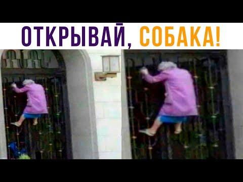 Рынок: открывается в 8:00. Бабка в 6:18))) Приколы | Мемозг 733