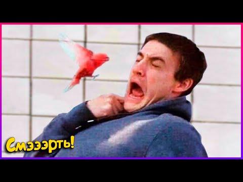 ТЕСТ НА ПСИХИКУ/ 664 СЕКУНД СМЕХА/ЛУЧШИЕ ПРИКОЛЫ ЗА ДЕКАБРЬ 2020 РЖАКА/ПОПРОБУЙ НЕ СМЕЙСЯ! BEST COUB