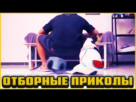 Отборные приколы сентябрь 2020 | Лучшие приколы сентябрь 2020 #79