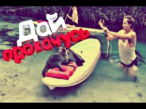УГАРНЫЕ ПРИКОЛЫ ДО СЛЕЗ 2017 - Новые смешные видео - лучший тест на психику