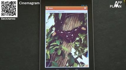 [Android] App Plan #30 Скороговорки