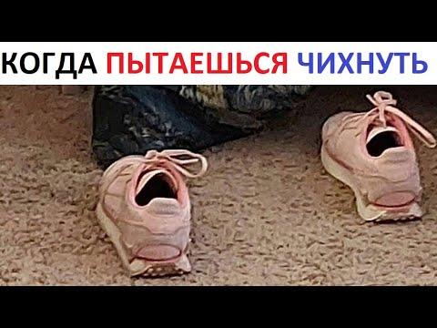 Лютые приколы Когда пытаешься чихнуть...