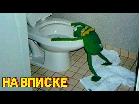 Я РЖАЛ ПОЛЧАСА 