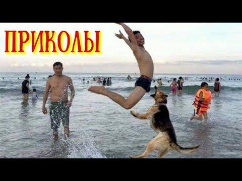 ОГО!!!! НОВЫЕ ПРИКОЛЫ 2018 ИЮЛЬ , BEST CUBE, ржака до слёз угар смешное видео