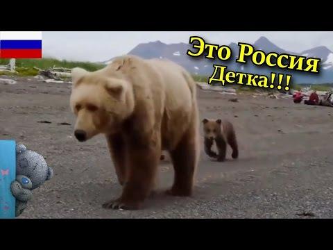 Это Россия, Детка!!! ЛУЧШИЕ РУССКИЕ ПРИКОЛЫ 2017 || Когда переиграл в ГТА