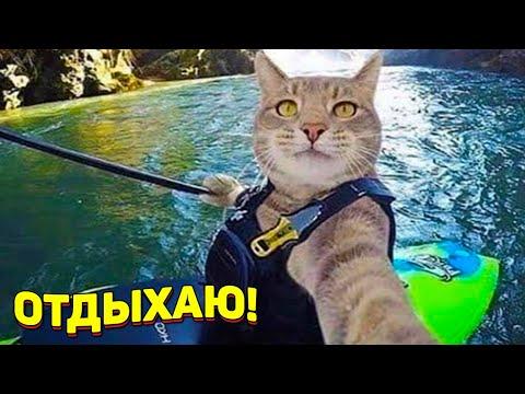 ЗАСМЕЯЛСЯ - ПОДПИСАЛСЯ!! ЛУЧШИЕ ПРИКОЛЫ 2021ТЕСТ НА ПСИХИКУ УГАР! #317