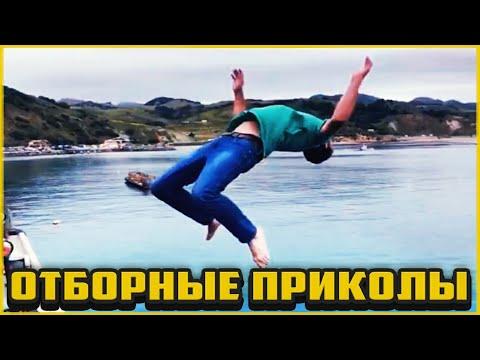Отборные приколы сентябрь 2020 | Лучшие приколы сентябрь 2020 #80