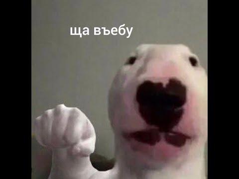 СЕНТЯБРЬ 2020 ЛУЧШЕЕ | ЛУЧШИЕ ПРИКОЛЫ 2020 | ПРИКОЛЫ НА ВСЕ ВРЕМЕНА