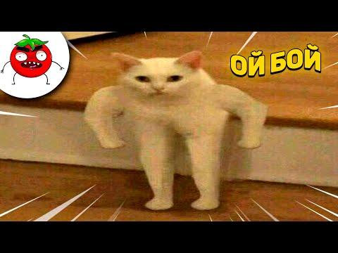 ЗАСМЕЯЛСЯ - ПОДПИСАЛСЯ!! ЛУЧШИЕ ПРИКОЛЫ I 492 СЕКУНД СМЕХА