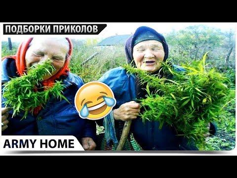 20 МИНУТ СМЕХА ДО СЛЕЗ | ПРИКОЛЫ 2020 Ноябрь #84 ржака угар - ПРИКОЛЮХА