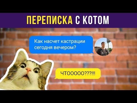 Приколы. Переписка с котом | Мемозг #39