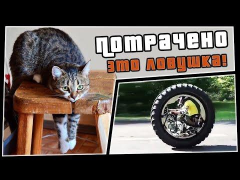 ПОТРАЧЕНО. Это ловушка! Смешные видео, лучшие приколы 2020 за неделю