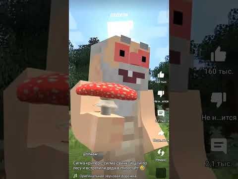 Автор @titwow #драконынаруку #минус #роблокс #столото #minecraft #реки