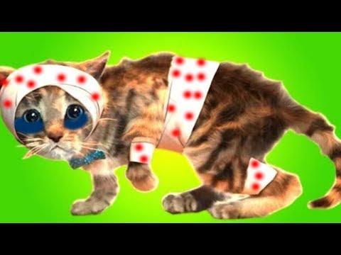 ПРИКЛЮЧЕНИЕ МАЛЕНЬКОГО КОТЕНКА мультик смешное видео для детей мультфильм про котиков #УШАСТИК КИДС