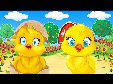ЗАРЯДКА ЦЫПЛЯТ - Весёлый Мультик
