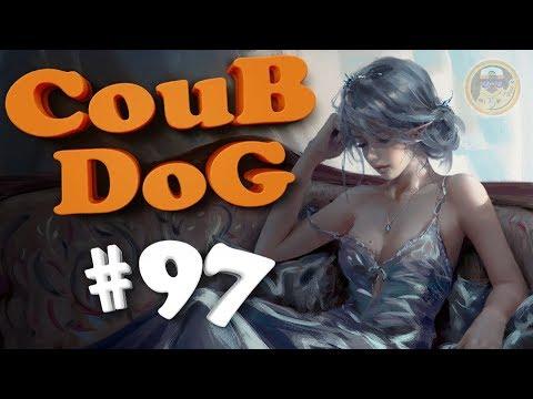 BEST COUB DOG #97 | лучшие приколы за Август 2018 / mycoubs / аниме / mega coub / моменты / funny