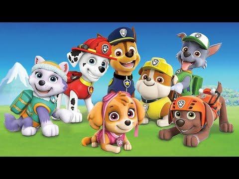 Щенячий Патруль - Приключения в Джунглях | Paw Patrol | Мультик Игра