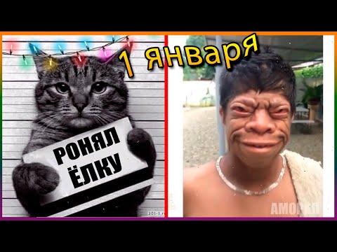 Я РЖАЛ ДО СЛЕЗ 