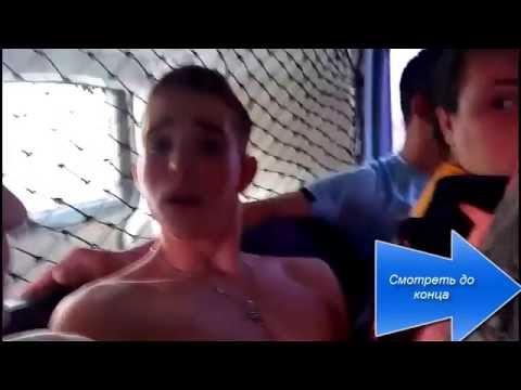 Рыжий конь "любит"  чёрную овечку