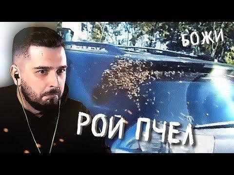 HARD PLAY СМОТРИТ ЛУЧШИЕ АВТО ПРИКОЛЫ #321