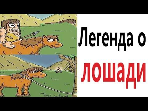 Приколы! ЛЕГЕНДА О ЛОШАДИ – МЕМЫ - АНИМАЦИЯ!!! Смешные видео от Доми шоу!