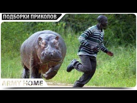 ПРИКОЛЫ 2018 СЕНТЯБРЬ #465 Лучшая Подборка Приколов ТОПОВЫЕ ПРИКОЛЫ - ПРИКОЛЮХА