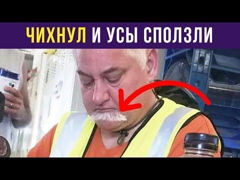 Приколы и мемы. Чихнул и усы сползли | Мемозг #48