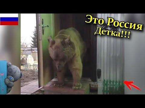 Это Россия, Детка!!! ЛУЧШИЕ РУССКИЕ ПРИКОЛЫ 2017 || Выпуск 133
