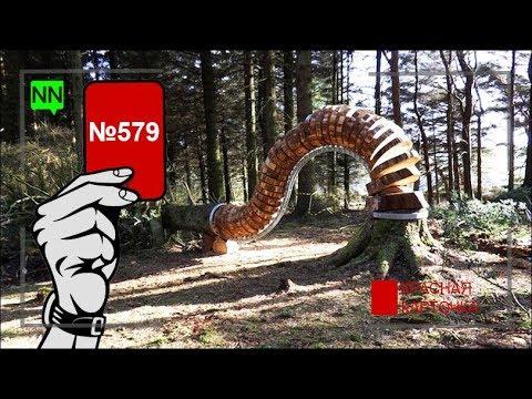 "Красная карточка" NewsNetwork №579: Как правительство рубит сук, на котором сидит