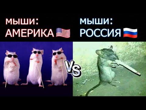 АМЕРИКА vs РОССИЯ | Приколы из Тик Тока | СМЕХ ДО СЛЕЗ (30)