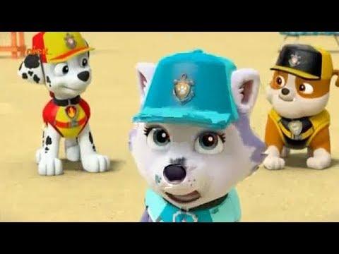 мультик для детей сборник 2018 серия 1, Щенячий патруль 1, Paw Patrol Full Episodes 1