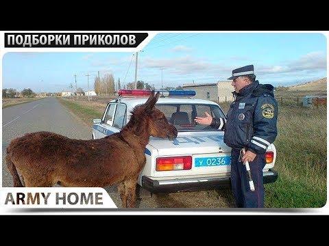 ПРИКОЛЫ 2018 Сентябрь #400 ржака до слез угар прикол - ПРИКОЛЮХА