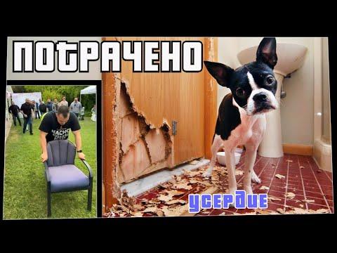 ПОТРАЧЕНО. Усердие. Лучшие приколы 2021, смешные видео и фейлы