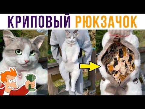 Криповый рюкзачок!) Кто бы такой купил?))) Приколы с котами | Мемозг 653