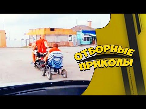 Отборные приколы январь 2021 | Лучшие приколы январь 2021