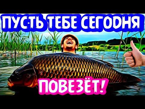 Улыбнись, приколы на рыбалке/Клёвая рыбалка 2021/Смешные случаи на рыбалке/Трофейная рыбалка 2021/