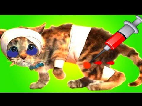 ПРИКЛЮЧЕНИЕ МАЛЕНЬКОГО КОТЕНКА мультик смешное видео для детей мультфильм про котиков