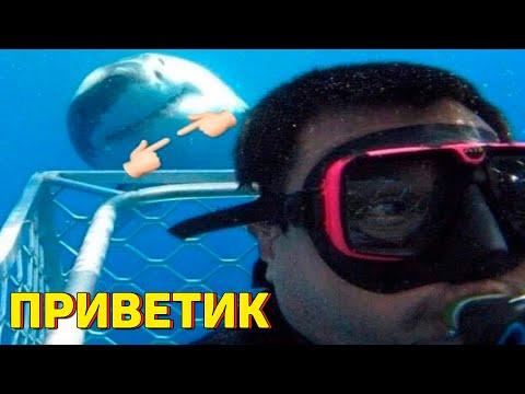 Я РЖАЛ ДО СЛЕЗ 