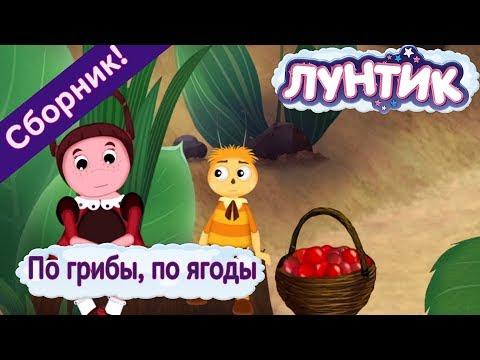 По грибы 