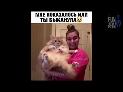 ЛУЧШИЕ ПРИКОЛЫ 2020 ИЮНЬ ржака до слез угар прикол – ПРИКОЛЮХА