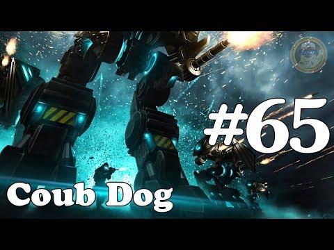 Coub Dog#65 (лучшие приколы за Май 2018)