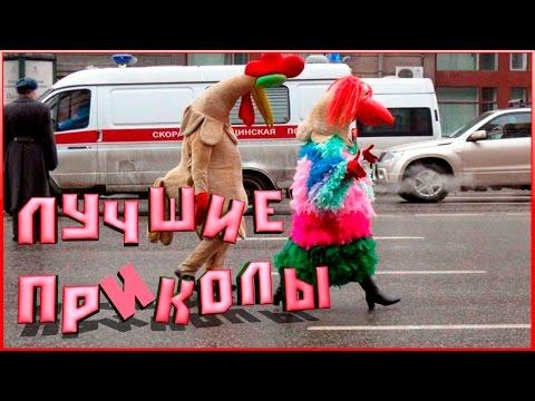 ПРИКОЛЫ. Прикольные видео ПРИКОЛ Май 2017 | Самые смешные приколы #244