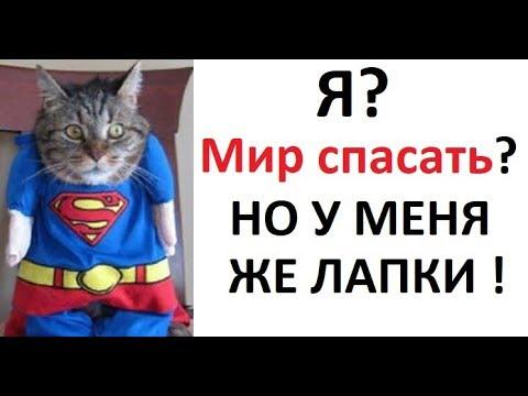 Лютые приколы. Я? Спасать мир? Но у меня же лапки!