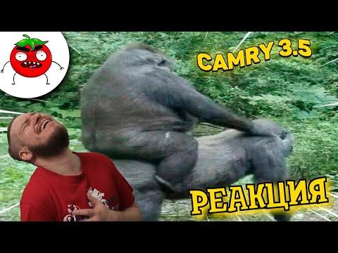 ЗАСМЕЯЛСЯ - ПОДПИСАЛСЯ!! ЛУЧШИЕ ПРИКОЛЫ I 490 СЕКУНД СМЕХА - РЕАКЦИЯ НА БАЛТИМОР