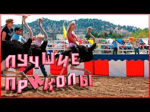 ПРИКОЛ 2017 МАЙ Подборка приколов ✔ Лучшие приколы за неделю # 251