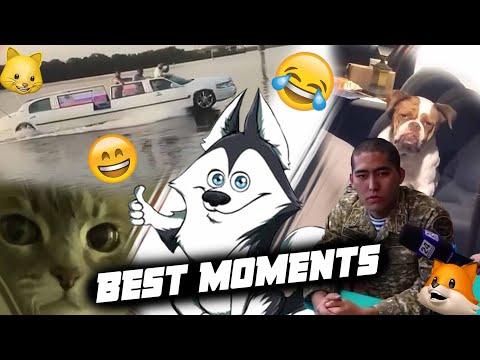 ЗАСМЕЯЛСЯ - ПОДПИСАЛСЯ!! ЛУЧШИЕ ПРИКОЛЫ I 485 СЕКУНД СМЕХА | TRY NOT TO LAUGH приколы 2020