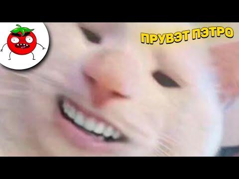 ЗАСМЕЯЛСЯ - ПОДПИСАЛСЯ!! ЛУЧШИЕ ПРИКОЛЫ I 459 СЕКУНД СМЕХА
